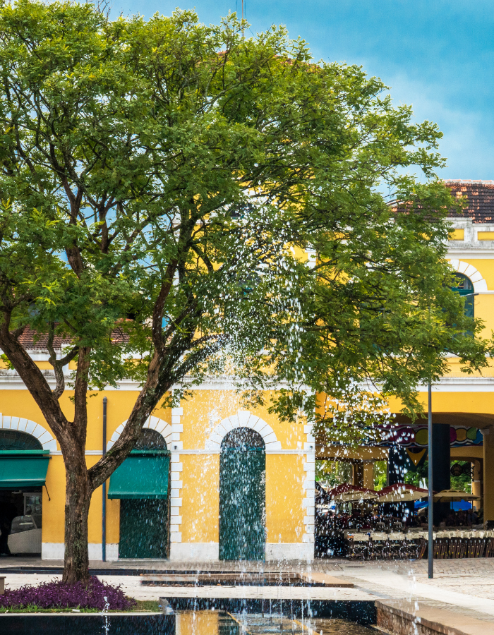 Mercado Público de Florianópolis: o coração da cidade explicado